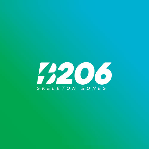 Skeleton Bones 206
